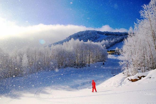 op榜！吉林登顶第一！开元棋牌全国雪场人气T(图1)